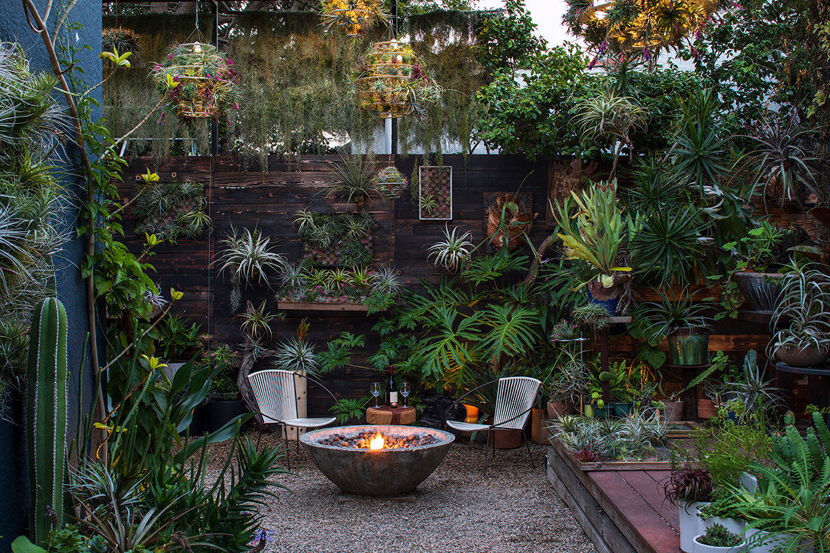 Inspiration from Airplantman's Garden — Flora Grubb Gardens Plant